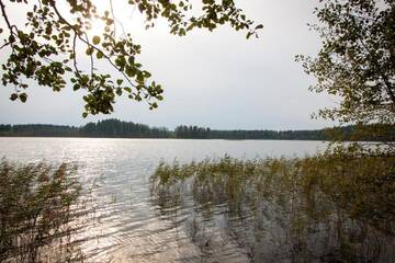 Фото номера Двухуровневый коттедж (6 взрослых) Дома для отпуска Kimalase Metsamaja г. Миссо 24
