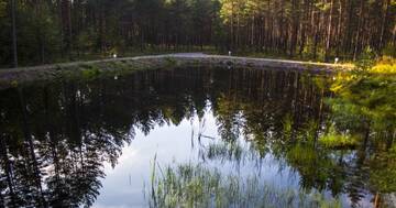 Фото номера Дом отдыха Дома для отпуска Pullijärve Holiday Park г. Миссо 6