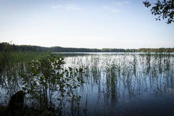 Фото номера Дом отдыха Дома для отпуска Pullijärve Holiday Park г. Миссо 4